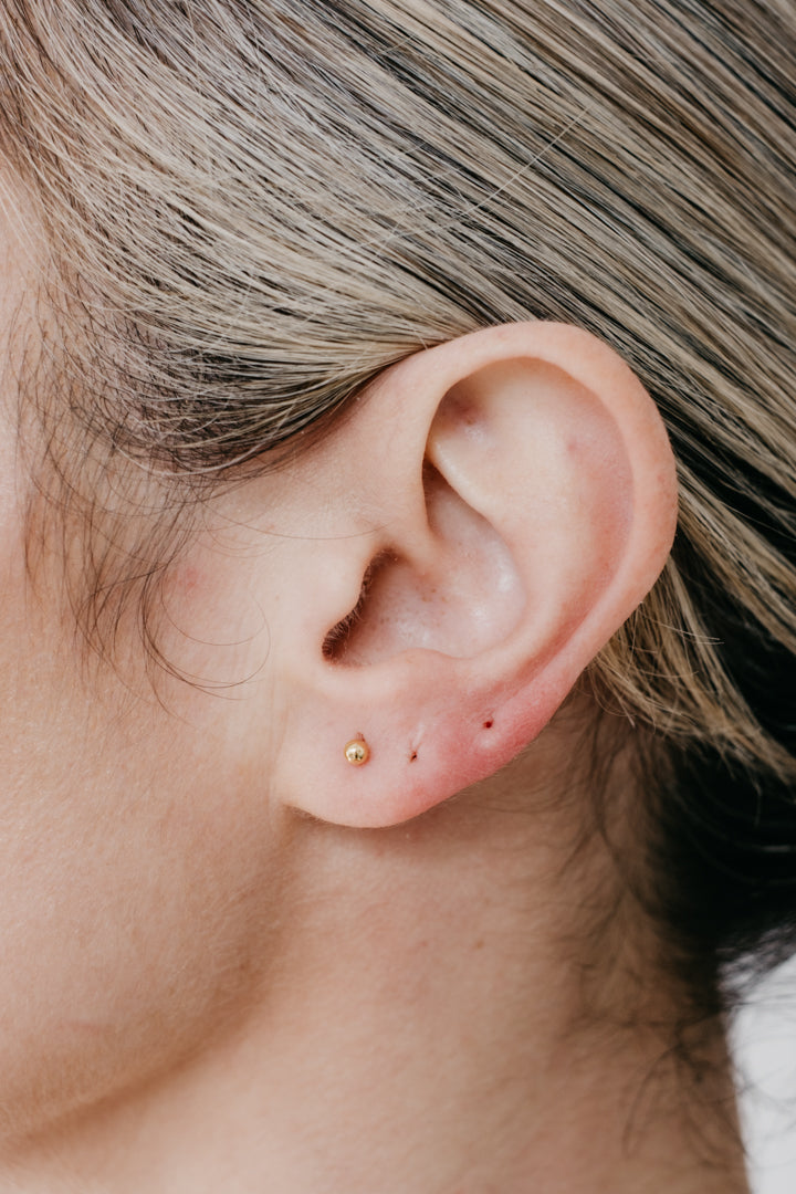 CRUX gold studs
